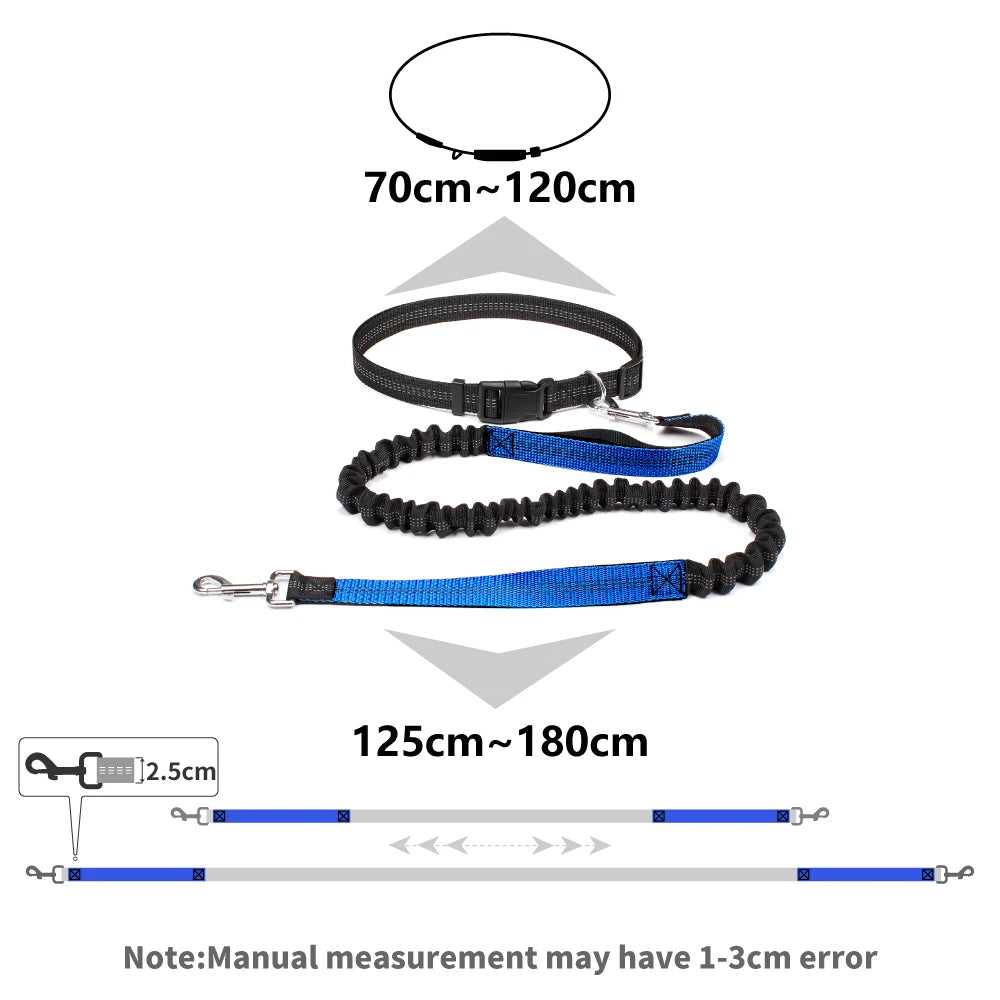 Waist-Belt Dog Leash Set with Bungee Sections