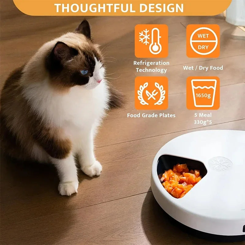 5-Compartment Timed Pet Feeder with Cooling, EU Plug 220V