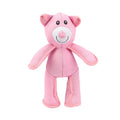 Squeaky Teddy Bear Dog Toy in Pink or Blue