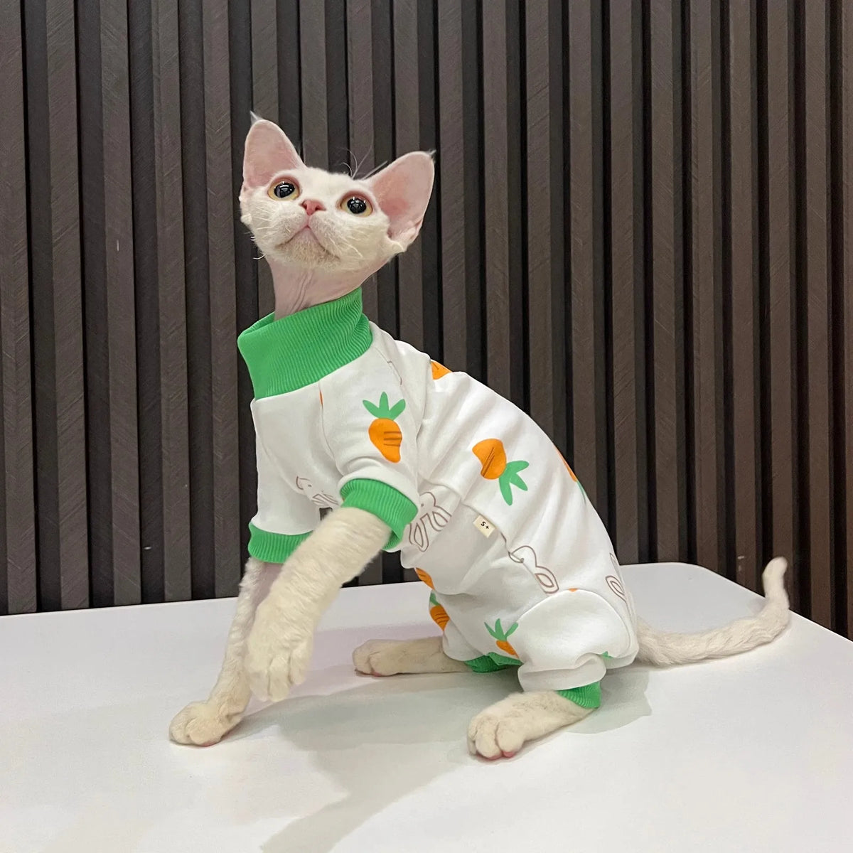 Bunny & Carrot Cat Jumpsuit with Green Trim