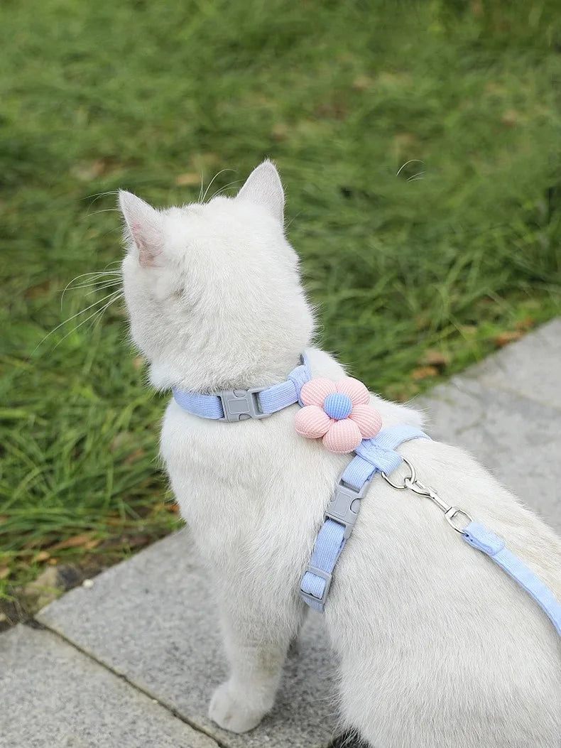 Flower-Detail Pet Harness & Matching Leash Set