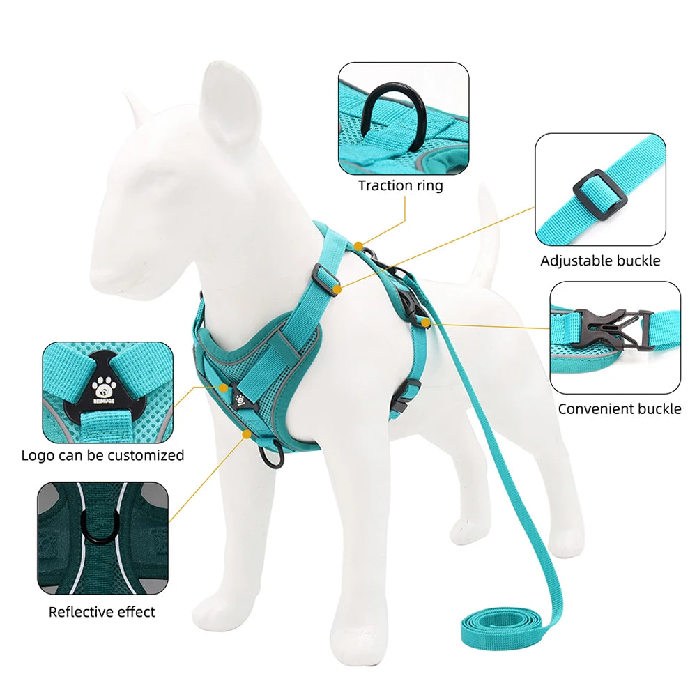 Adjustable Mesh Pet Harness & Coordinating Leash Set