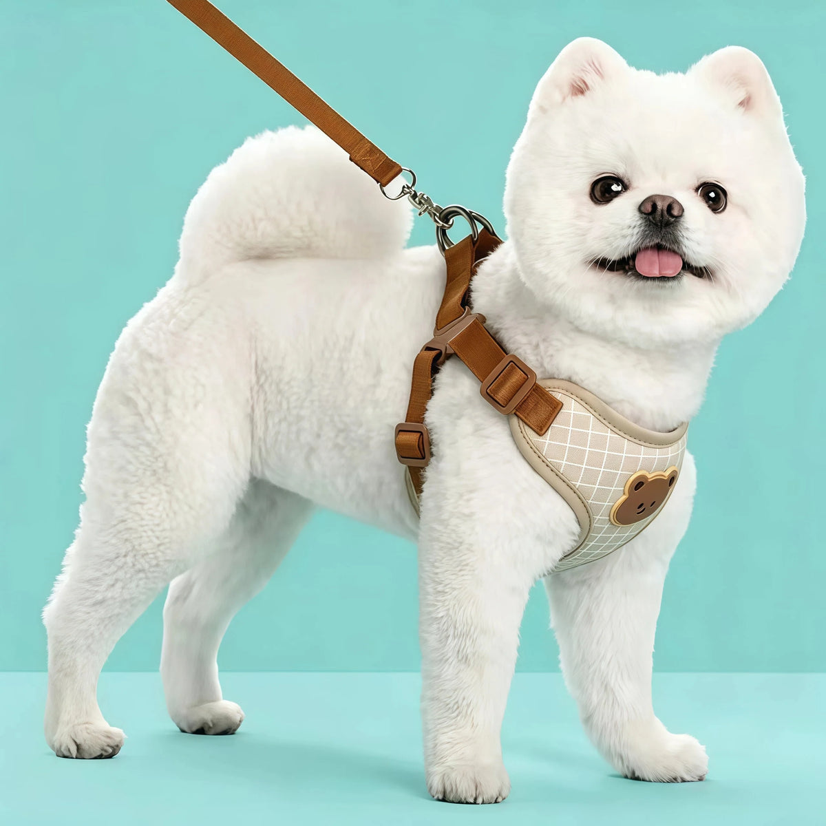 Bear-Detail Pet Harness & Leash Set with Mesh Lining