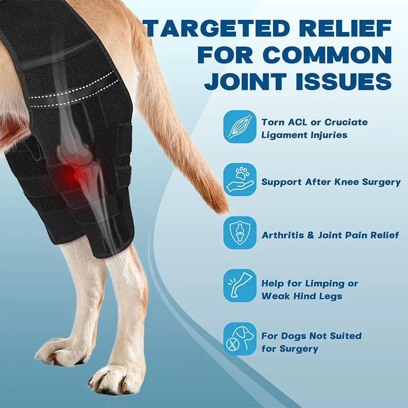 Dog Rear-Leg Brace with Body Strap