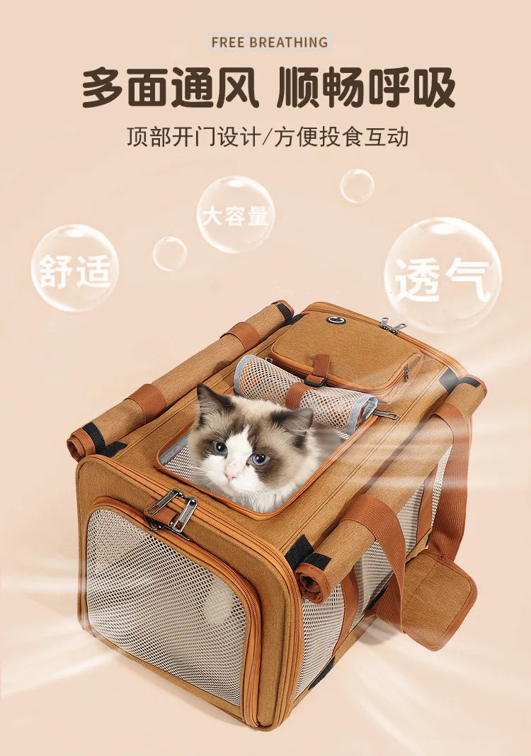Foldable Mesh Pet Carrier with Front & Top Access