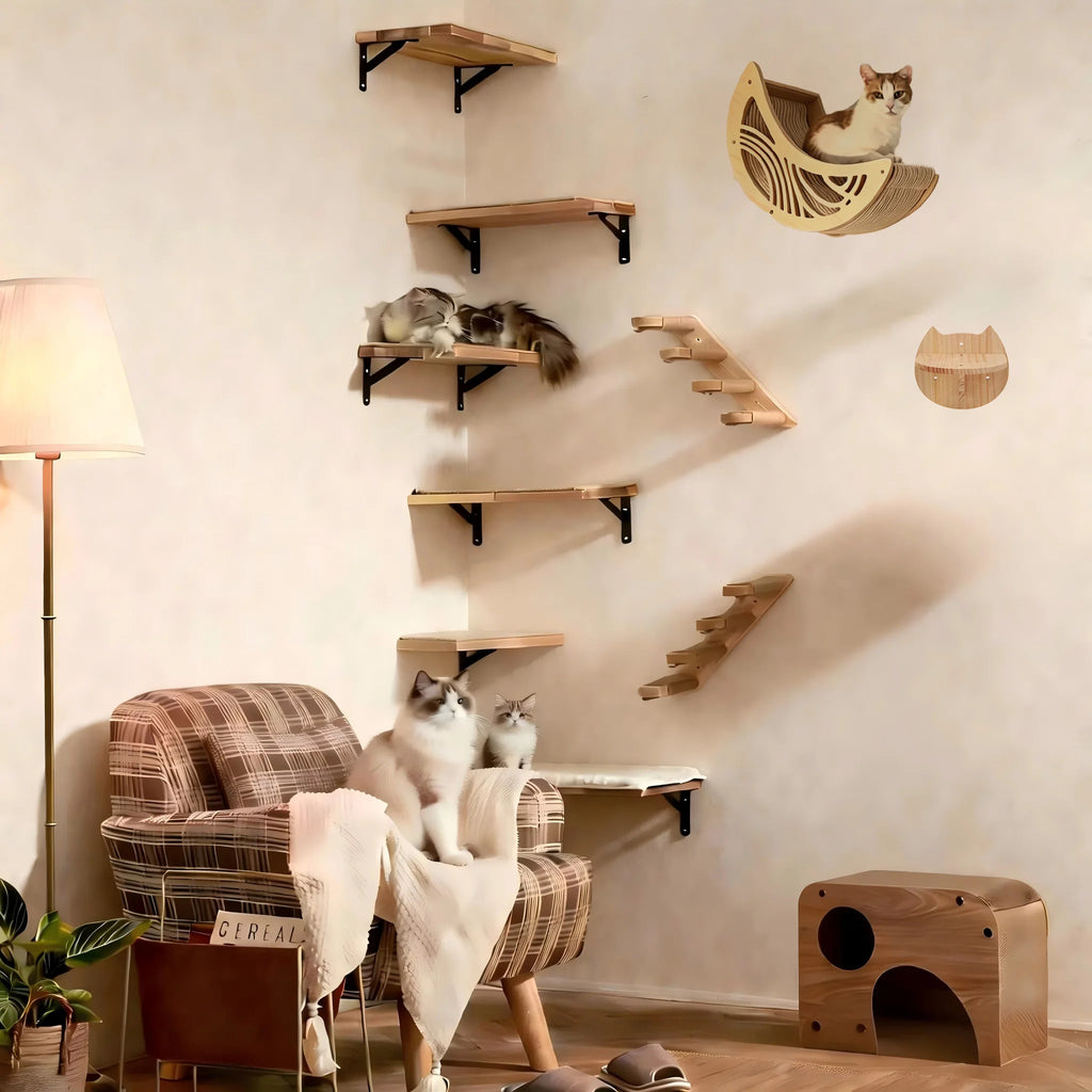 Wall-Mounted Cat Shelves, Steps & Lounging Options