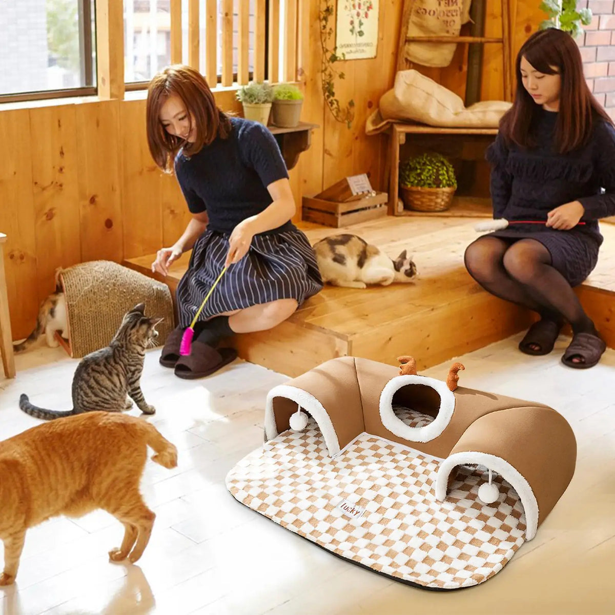 Kitten Play Tunnel Bed with Checkerboard Mat