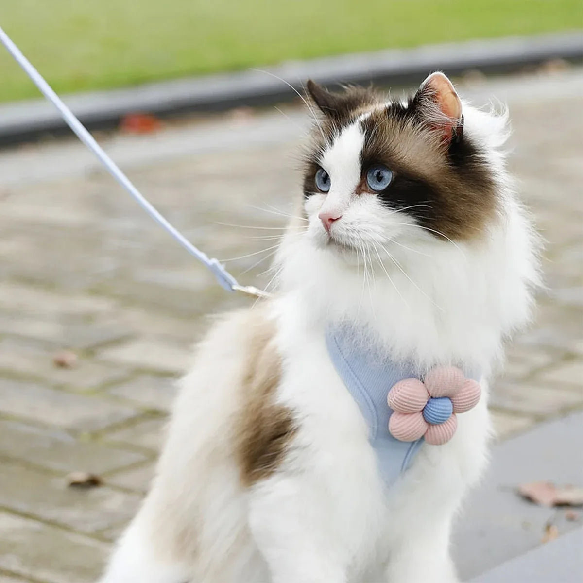 Flower-Detail Pet Harness & Matching Leash Set