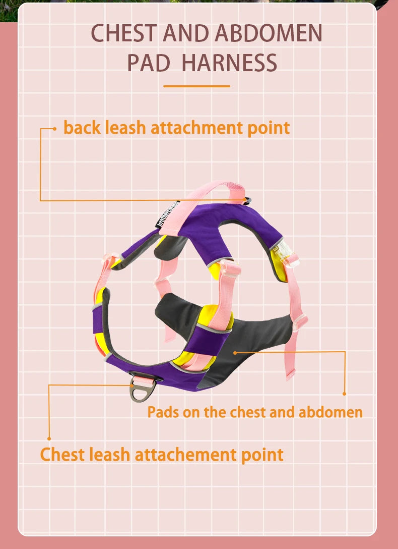 Adjustable Padded Nylon Dog Harness with Reflective Details