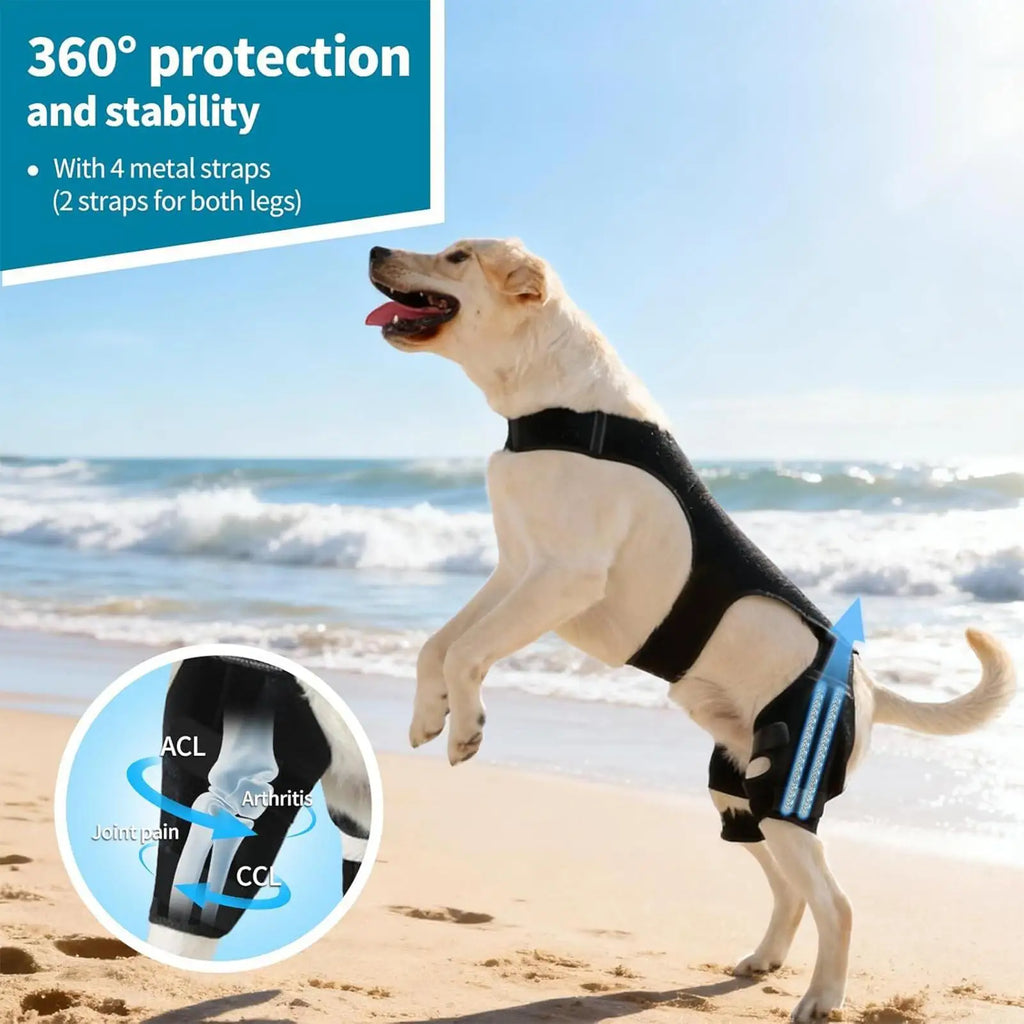 Adjustable Dog Rear-Leg Brace with Wraparound Harness