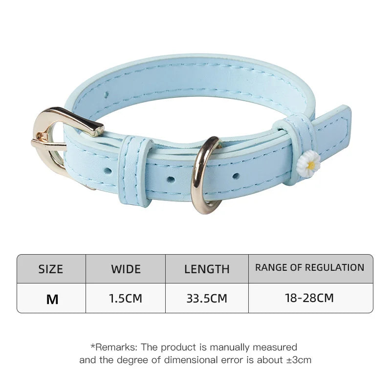 Pastel Daisy Pet Collar with Gold-Tone Buckle
