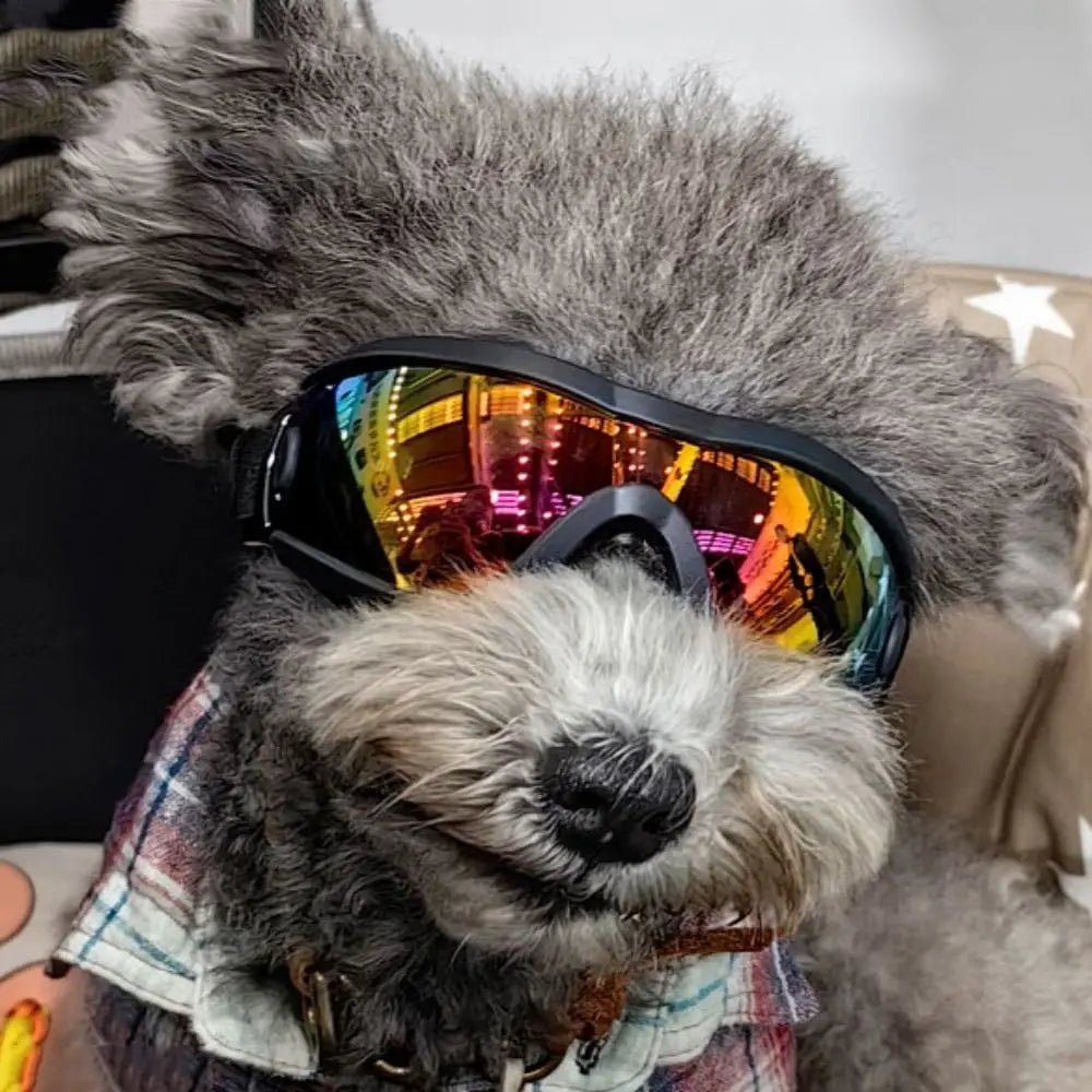 Wraparound Dog Photo Goggles with Adjustable Strap