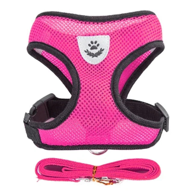 Adjustable Mesh Pet Harness & 120 cm Leash Set
