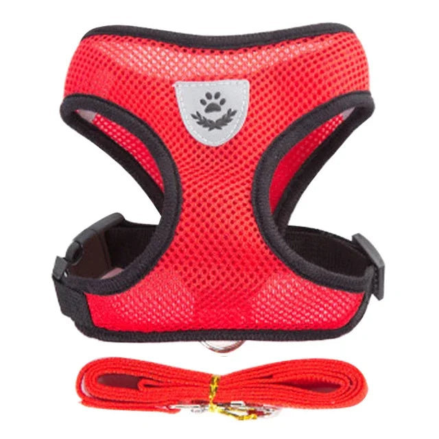 Adjustable Mesh Pet Harness & 120 cm Leash Set