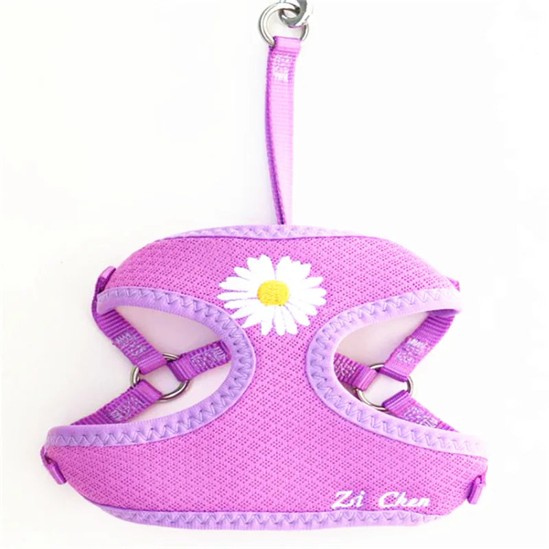 Daisy-Embroidered Mesh Pet Harness & Matching Leash Set