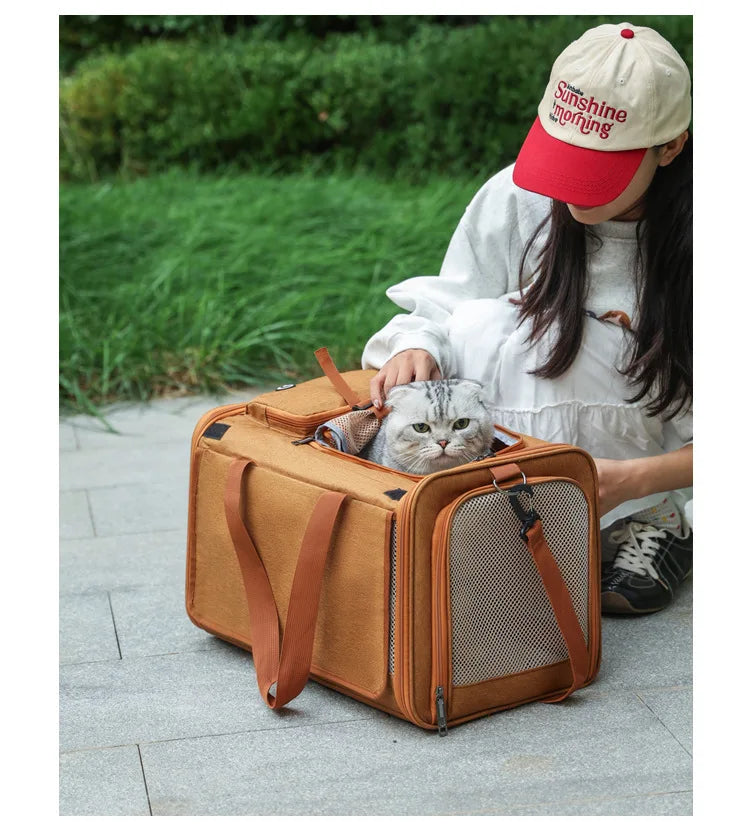 Foldable Mesh Pet Carrier with Front & Top Access