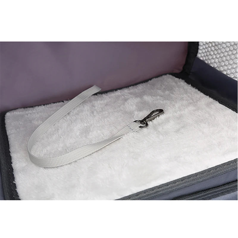 Compact Small-Pet Carrier with Clear Window & Mesh Sides