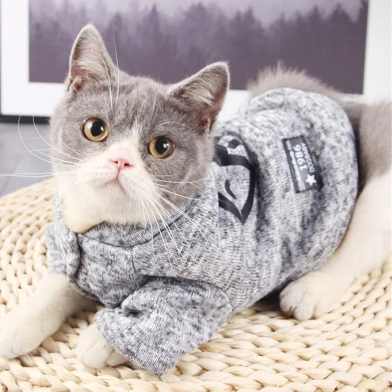 Fish-Graphic Cat Pullover