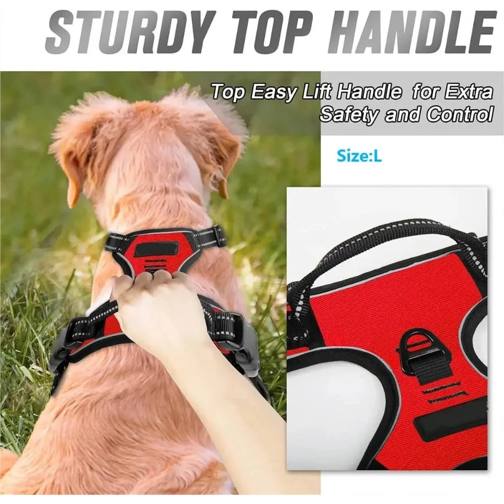 Adjustable Dog Vest Harness with Contrast Trim