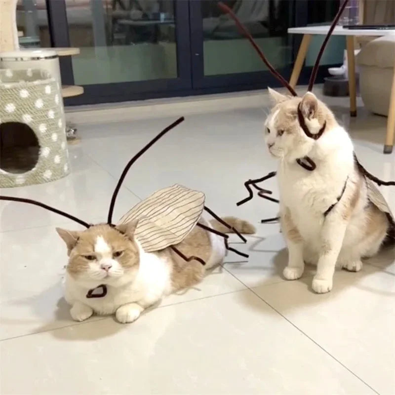 DIY Cockroach Cat Costume Material Kit