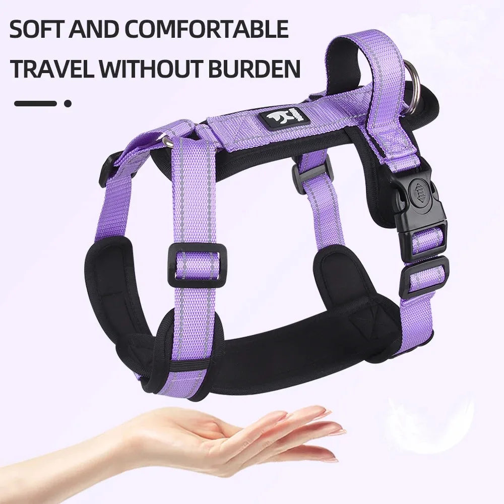 Adjustable Padded Dog Harness with Reflective Stitching