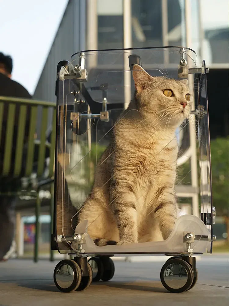 Box-Style Rolling Pet Carrier with Clear Panels
