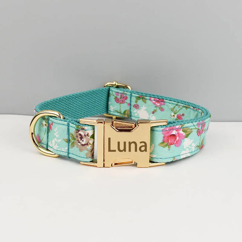 Printed Dog Collar with Gold-Tone Buckle