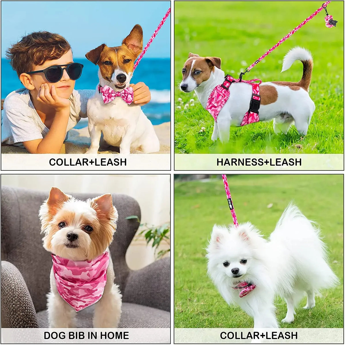 Printed Dog Harness & Coordinating Walking Accessory Set