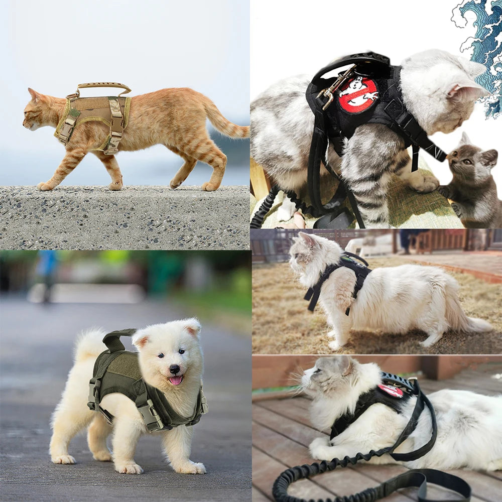 Adjustable Tactical-Style Pet Harness & Set Options