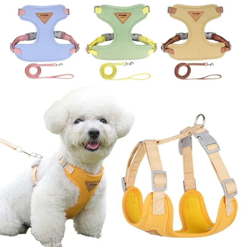 Colorblock Pet Harness & Coordinating Leash Set