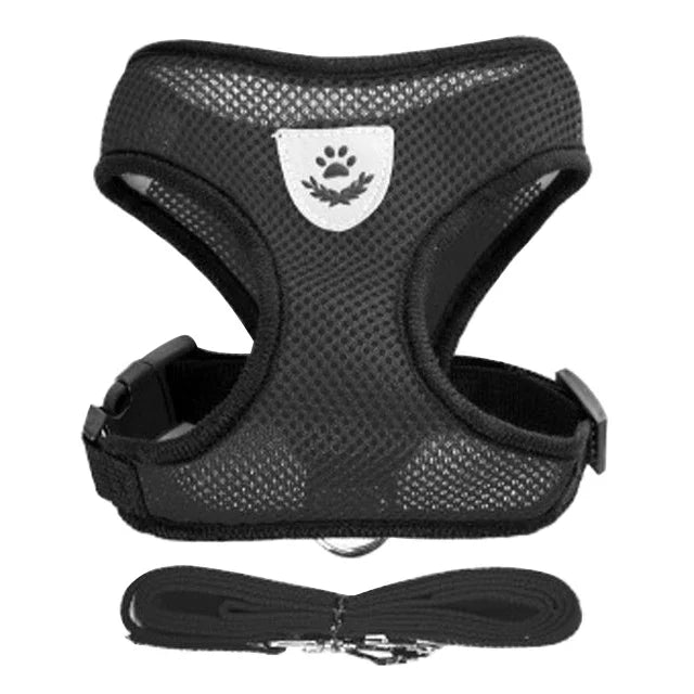Adjustable Mesh Pet Harness & 120 cm Leash Set