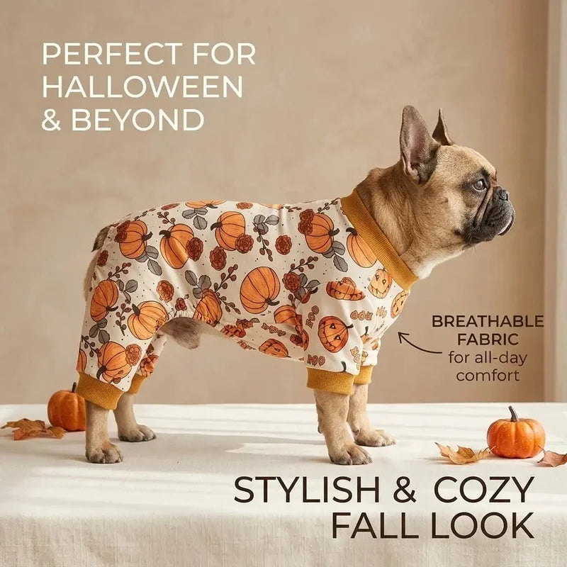 Pumpkin Print Four-Leg Pet Onesie for Dogs & Cats