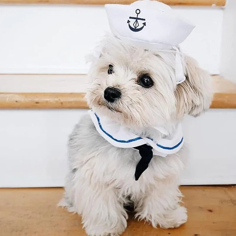 White Sailor Hat & Cloak Pet Costume