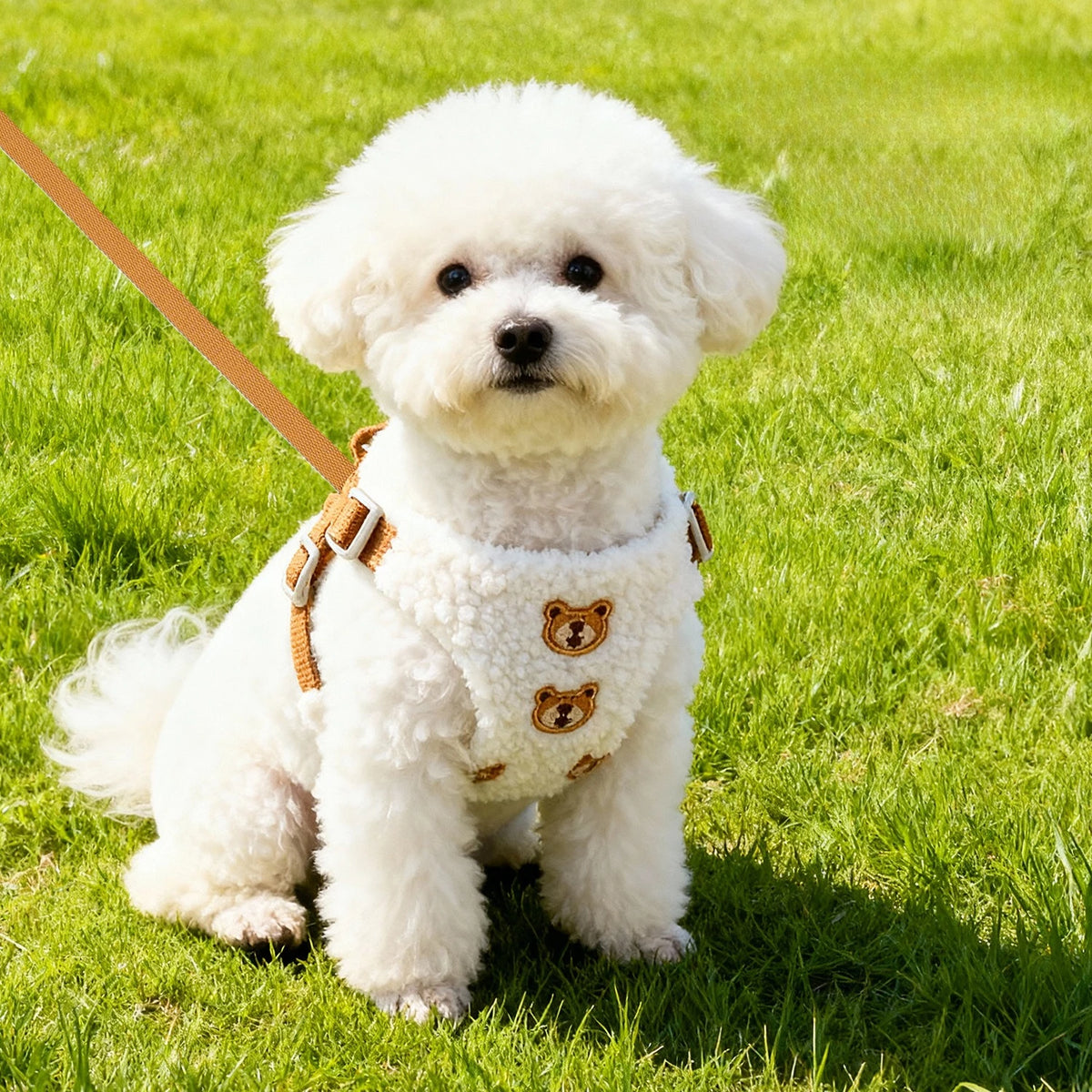 Teddy-Texture Bear Pet Harness & Leash Set