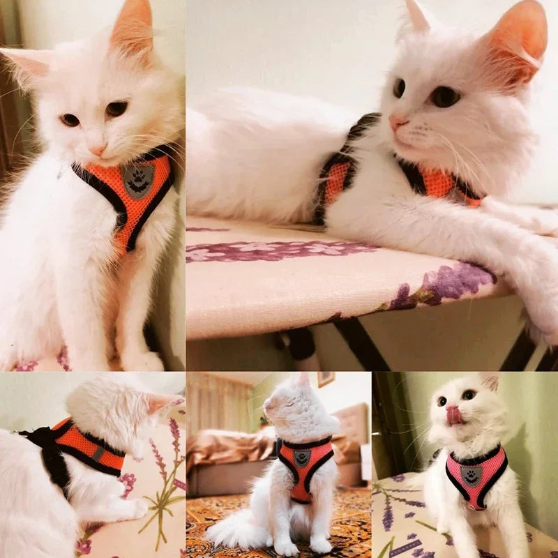 Adjustable Mesh Pet Harness & 120 cm Leash Set