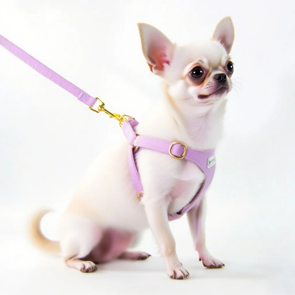 Suede-Look Pet Harness & Coordinating Leash Set