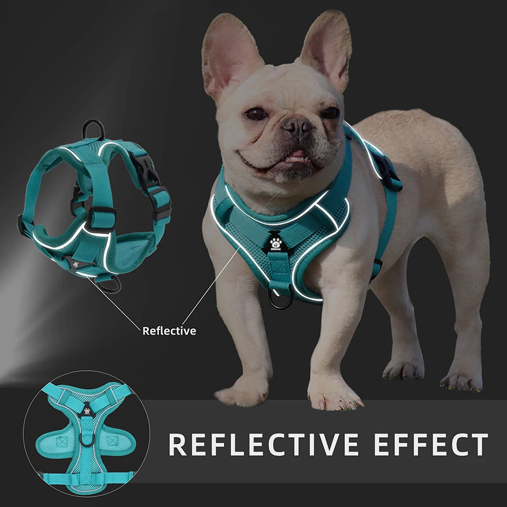 Adjustable Mesh Pet Harness & Coordinating Leash Set