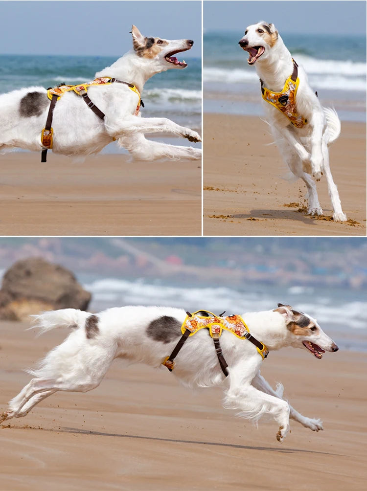 Adjustable Padded Nylon Dog Harness with Reflective Details