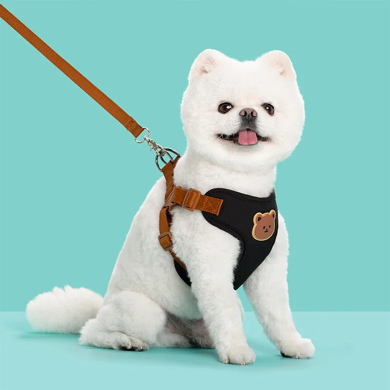 Bear-Patch Pet Harness & Matching Leash Set