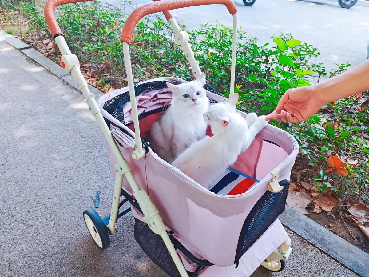 Folding Pet Stroller with Detachable Carrier & Lower Basket