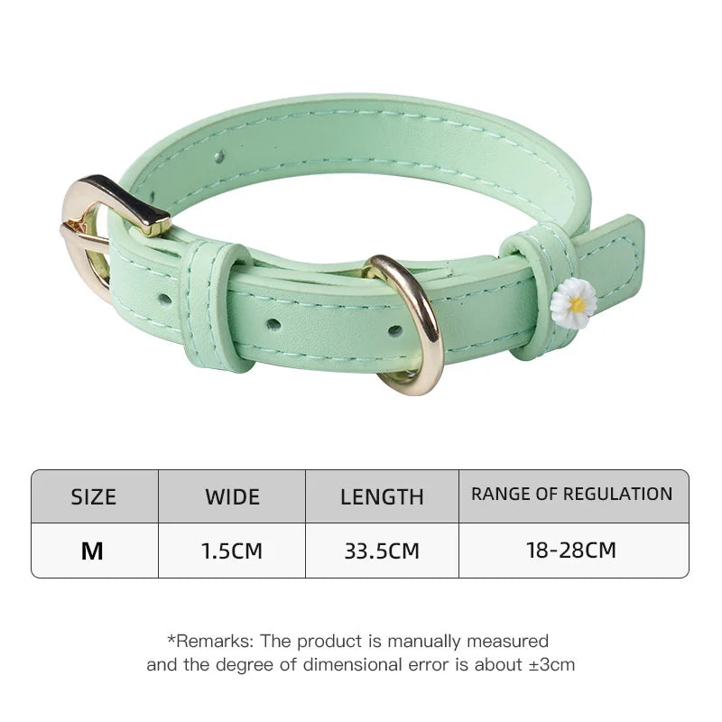 Pastel Daisy Pet Collar with Gold-Tone Buckle