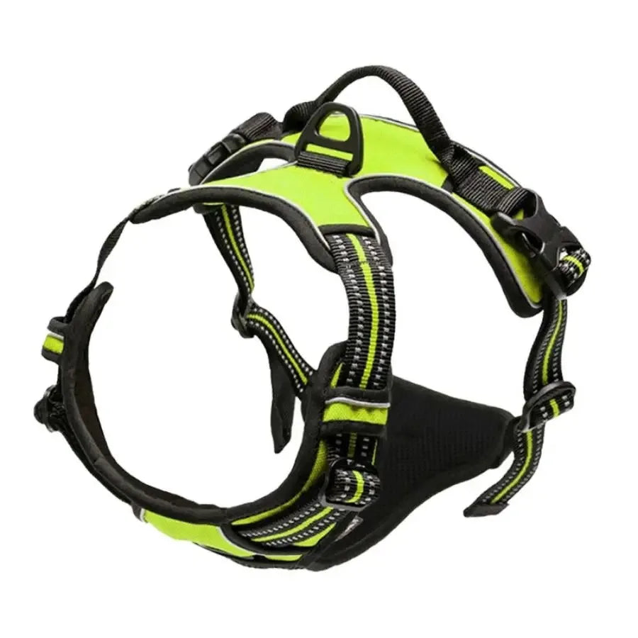 Adjustable Dog Vest Harness with Contrast Trim
