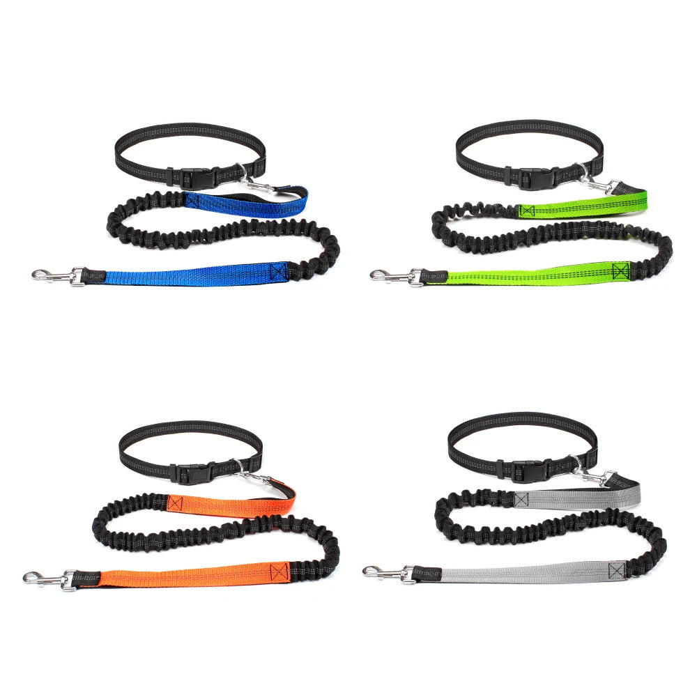 Waist-Belt Dog Leash Set with Bungee Sections