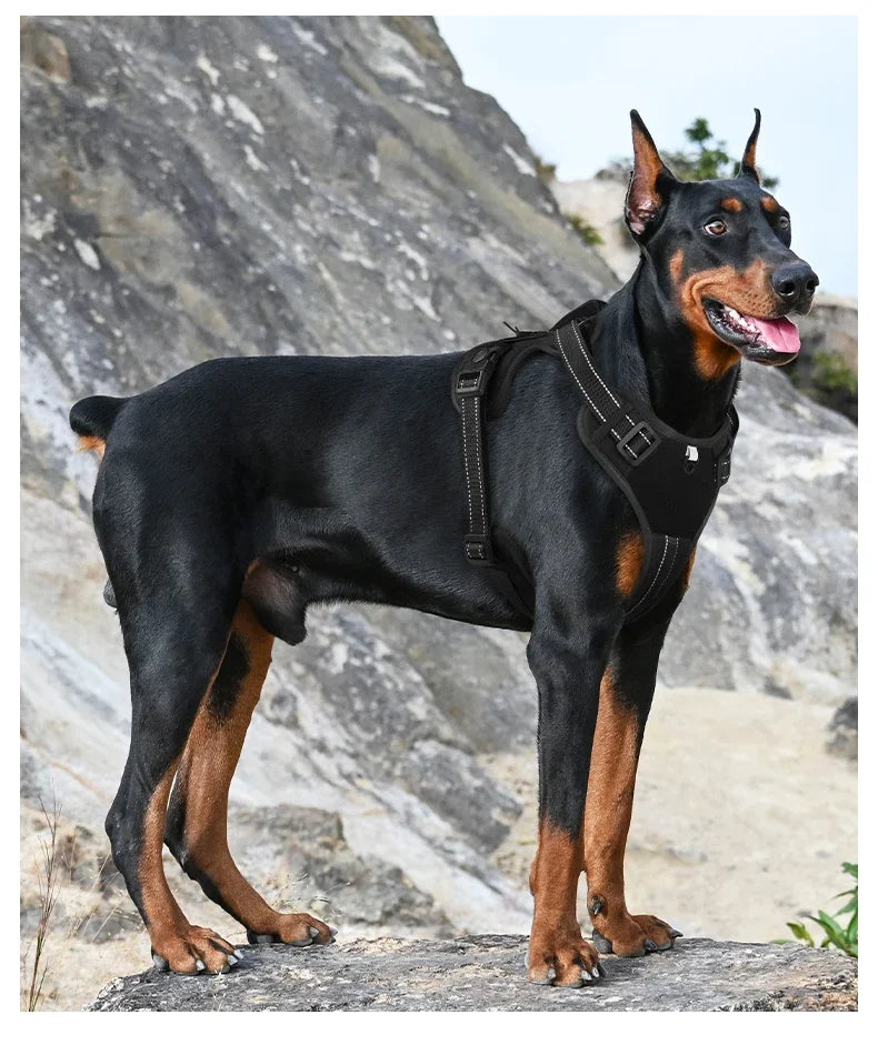 Adjustable Dog Harness with Reflective Trim & Top Handle