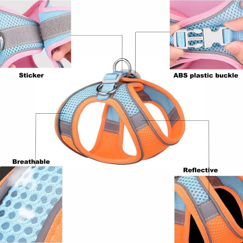 Reflective-Trim Pet Vest Harness & 1.5 m Leash Set