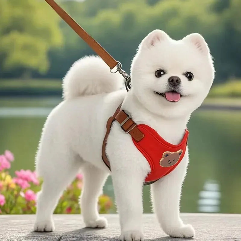 Bear-Detail Adjustable Pet Harness & 150 cm Leash Set