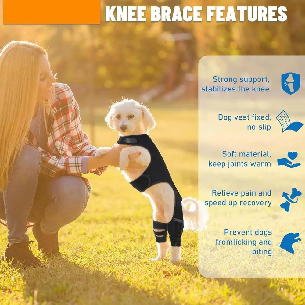 Adjustable Dog Rear-Leg Brace with Wraparound Harness