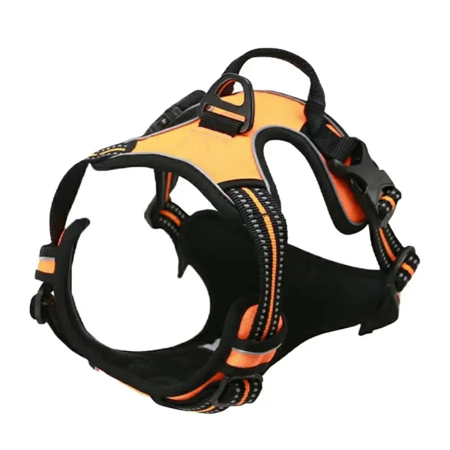 Adjustable Dog Vest Harness with Contrast Trim