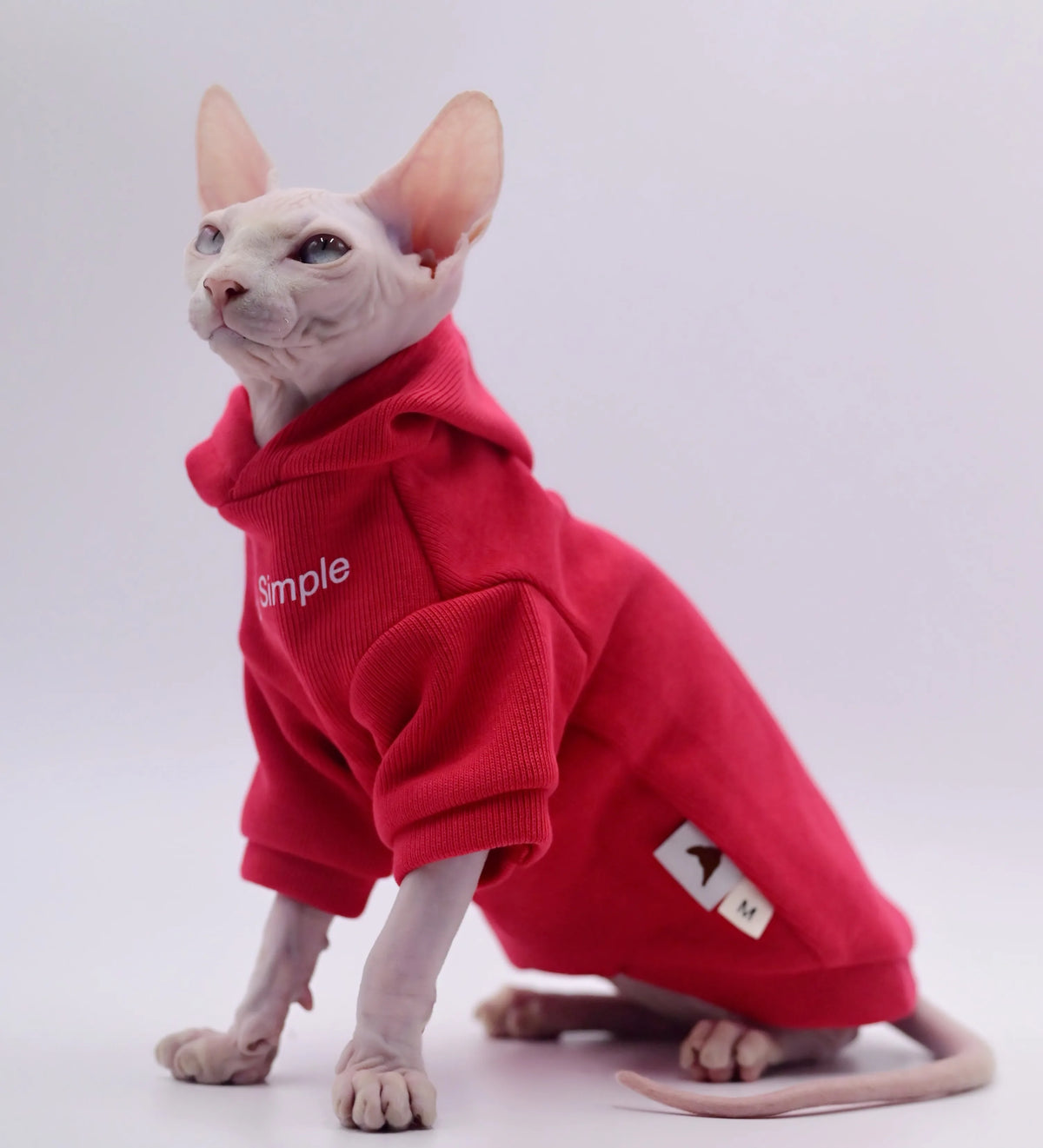 Red Cotton Cat Hoodie for Sphynx Cats