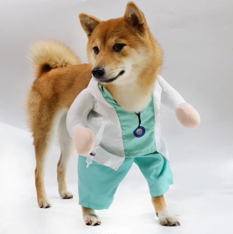 Doctor Dog Costume with Scrubs & Lab Coat